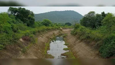 East Singhbhum News : सर! रबी की खेती के लिए नहर में पानी छोड़ें, वरना हम भूखे मर जायेंगे