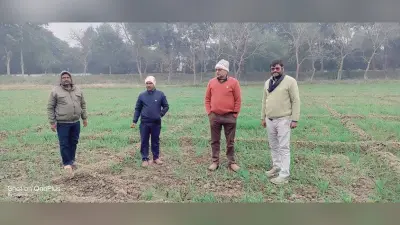 Bhagalpur news कृषि विभाग के अधिकारियों ने खेतों का किया निरीक्षण, दी बचाव की जानकारी