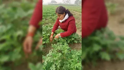 घने कोहरे के बीच सर्द पछुआ हवा ने बरपाया शीतलहर का कहर