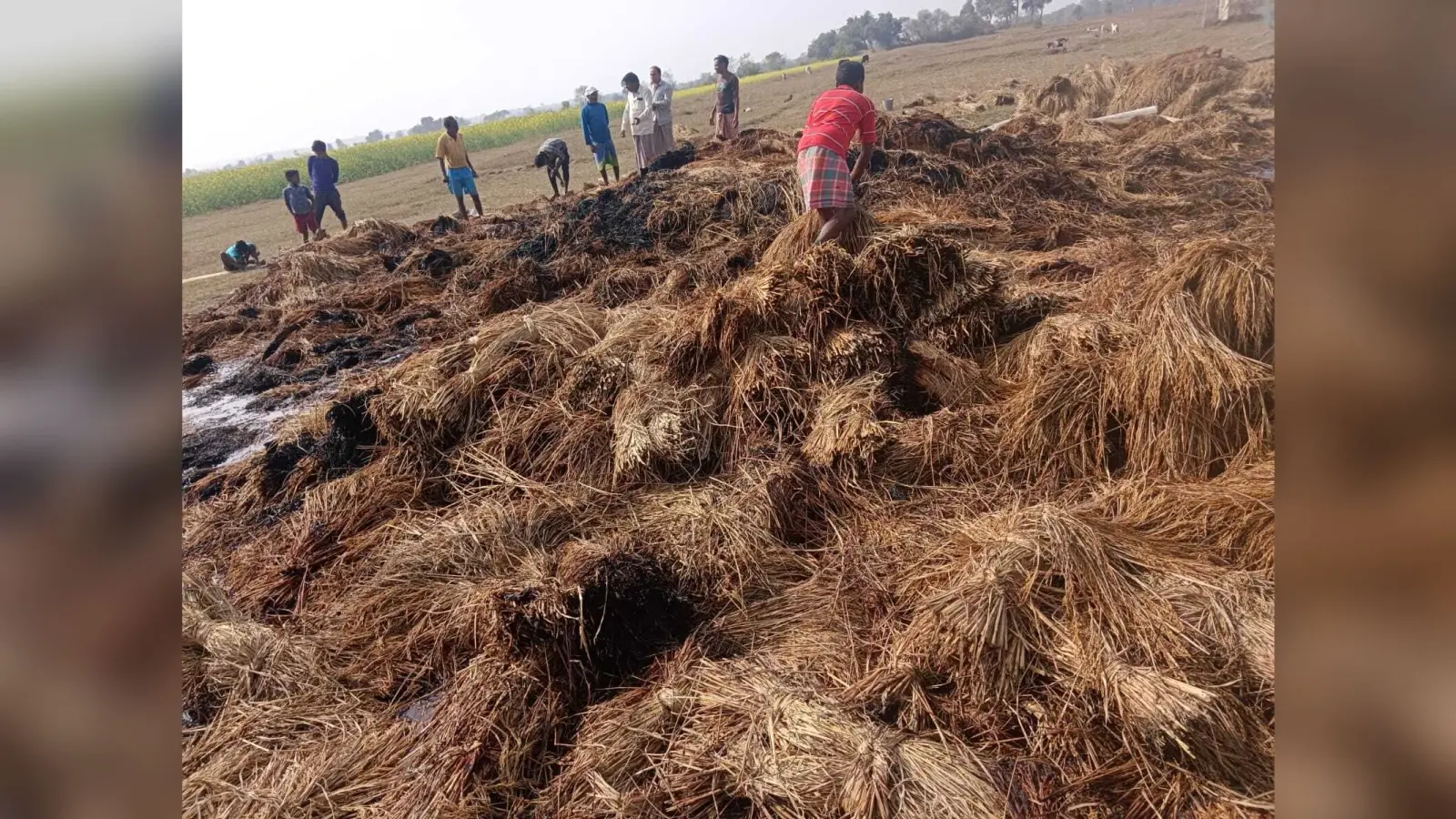 खलिहान में लगी आग, 50 हजार का धान जलकर राख