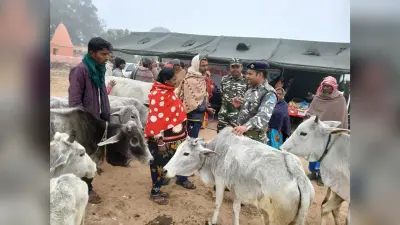 एसएसबी ने रोपावेल में लगाया शिविर, 53 मवेशियों की हुई जांच