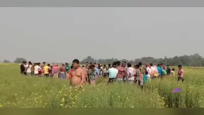 East singhbhum news : झाड़ग्राम में हाथी की मौत, हार्ट अटैक की आशंका