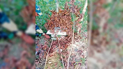 सीमा की निगरानी में अत्याधुनिक तकनीकों का हो रहा इस्तेमाल