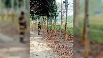 बांग्लादेश के हालात के मद्देनजर बीएसएफ ने बढ़ायी और चौकसी