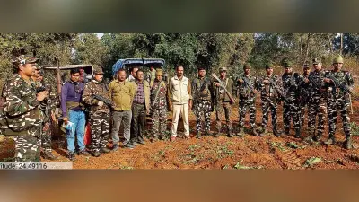 Gaya News : कुंदरी जंगल में 3.42 एकड़ में लगी अफीम की फसल की गयी नष्ट