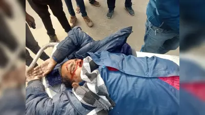 हाइवा ट्रक ने साइकिल सवार को ठोकर, जख्मी