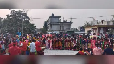आदिवासियों के महत्वपूर्ण पर्व सोहराय का हुआ शुभारंभ, बड़ी संख्या में आदिवासी समुदाय के लोग ले रहे भाग