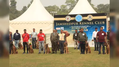 Jamshedpur : आर्चरी ग्राउंड में शुरू हुआ डॉग शो