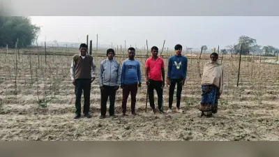 East Singhbhum News : बहरागोड़ा के किसानों के जीवन में मिठास ला रहा करेला