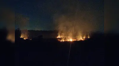 Bokaro News : जंगल की आग को रोकने में बहुत हद तक कामयाब हुआ है बोकारो