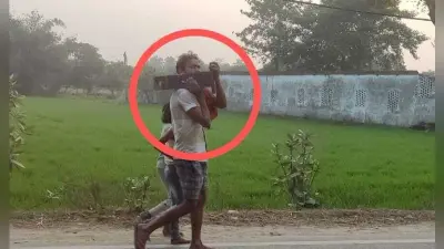 अवैध आरा मिल पर वन विभाग का चला बुलडोजर, 4 मशीन को किया जब्त