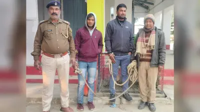 15 लीटर विदेशी शराब के साथ दो तस्कर गिरफ्तार, भेजा जेल
