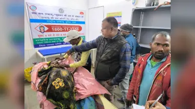 East Singhbhum News : चाकुलिया में तालाब से कपड़ा धोकर लौट रही वृद्धा को हाथी ने पटका, गंभीर