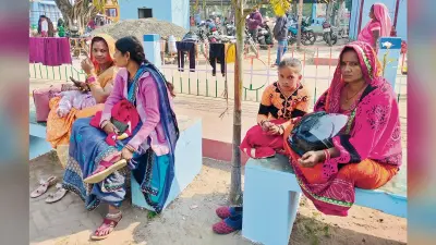 Gopalganj News : बर्फीली हवा के बीच सूर्यदेव ने दी राहत, आठ दिन के बाद शुक्रवार को साढ़े सात घंटे धूप निकली