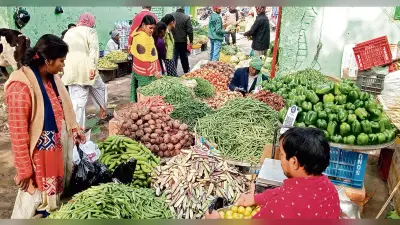 Gaya News : पैदावार अधिक होने से हरी सब्जियों के दाम गिरे