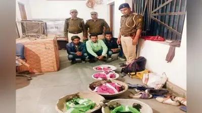 Gopalganj News : गंडक नदी से कछुओं की बढ़ी तस्करी