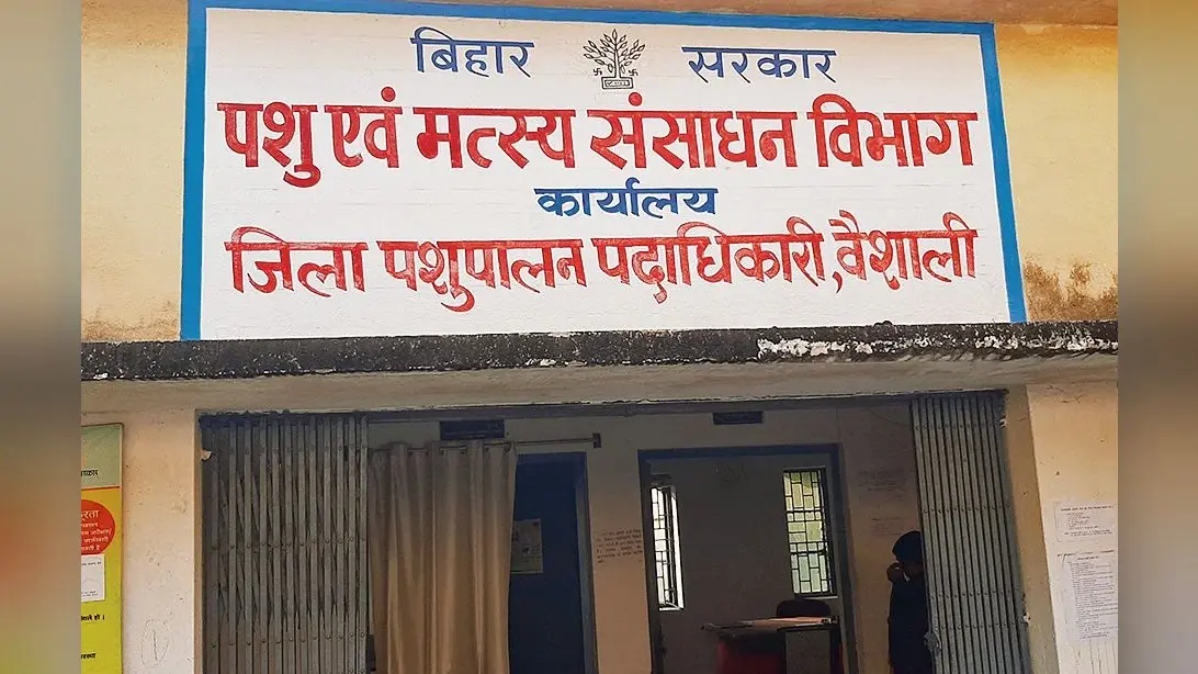 hajipur news. 87 लाभुकों को मिलेगा शूकर पालन योजना का लाभ