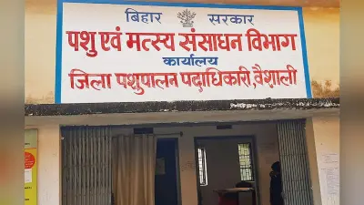 hajipur news. 87 लाभुकों को मिलेगा शूकर पालन योजना का लाभ