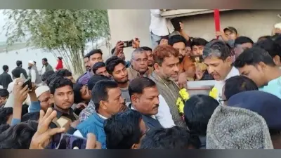 सांसद ने खाड़ी व रसेली पुनरीक्षित पुल का किया शिलान्यास