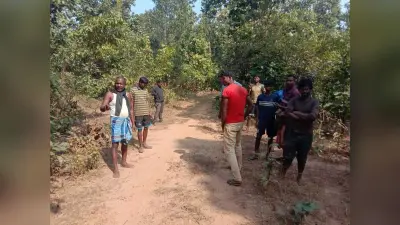 East Singhbhum : बोंगडुबा जंगल में फिर दिखे बाघ के पदचिह्न, ग्रामीणों को किया अलर्ट