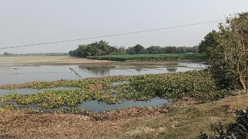 बिना किसी सूचना के नहर से छोड़ दिया पानी