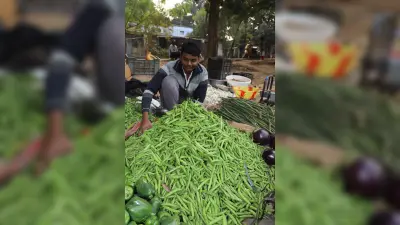 Jamshedpur News : मकर संक्रांति को लेकर फूल गोभी व मटर की बढ़ी मांग