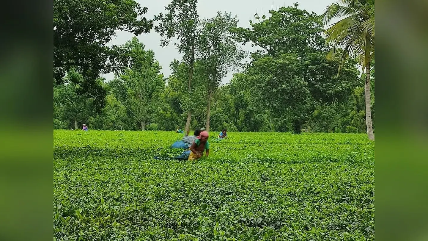 1990 में पूर्णिया से अलग होकर बना था किशनगंज जिला