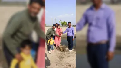 पेड़-पौधों का मानव जीवन में बहुत महत्व है: बीडीओ
