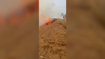 Giridih News:झारखंडधाम : खलिहान में आग लगने से धान जलकर राख