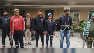Giridih News:13 मवेशी के साथ दो पिकअप वैन जब्त
