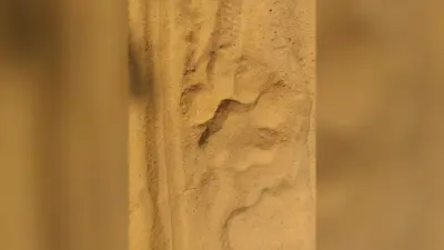 East Singhbhum News : घाटशिला से सटे काकड़ाझोर में मिले बाघ के पंजे के निशान, गांवों में अलर्ट