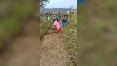 East Singhbhum News : मनरेगा मजदूर, कर्मियों और वेंडरों का चार माह से मानदेय भुगतान बकाया