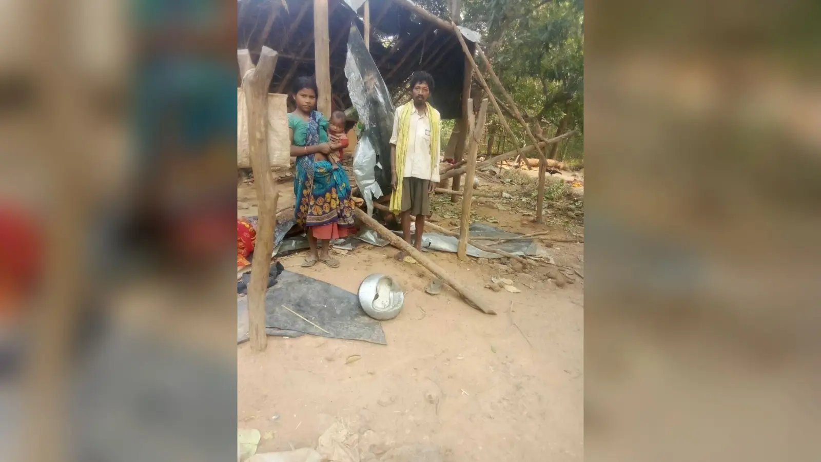 East Singhbhum News : गुड़ाबांदा में हाथियों ने दो घरों को तोड़ा, खा गये अनाज