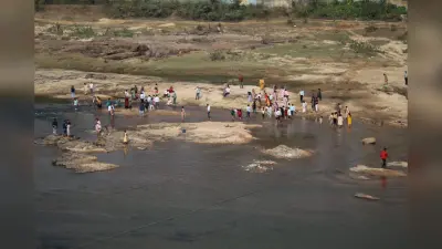 Giridih News :श्रद्धा व उल्लास के साथ मनी मकर संक्रांति