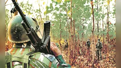 News of Naxal operation : राज्य को मार्च 2026 तक नक्सल मुक्त करने का लक्ष्य