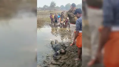 Bokaro News : धनडाबर के बड़ाबांध से अज्ञात युवक शव बरामद