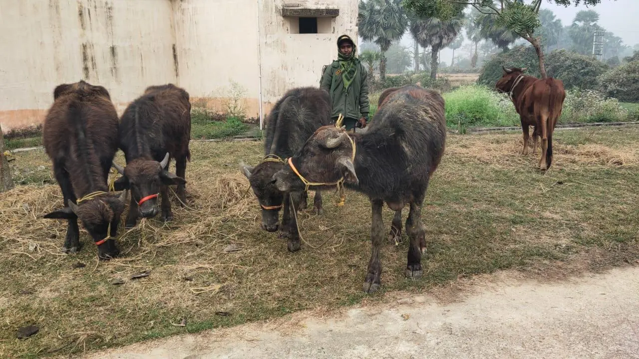 बहादुर महिला जवान ने हथियारबंद मवेशी तस्करों को खदेड़ा
