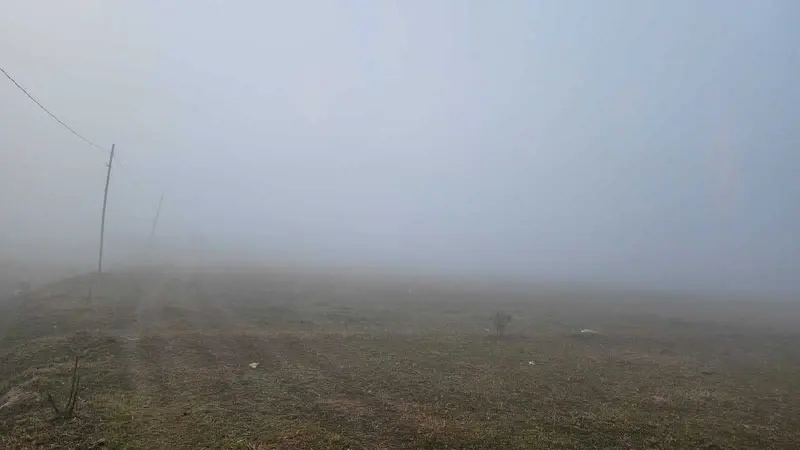 Madhubani News : हाड़ कंपाने वाली ठंड से लोगों की दिनचर्या प्रभावित