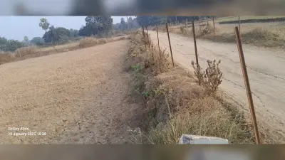 मुखिया व पीआरएस के विवाद में दम तोड़ रही पौधरोपण योजना