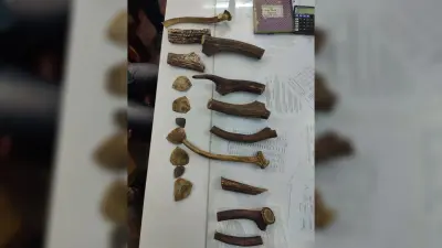 हिरण सींग के तस्करी के आरोप में दो लोग गिरफ्तार