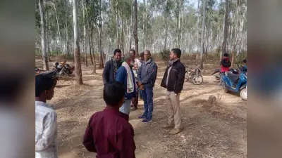 Chaibasa News : पट्टाजैंत जंगल से हाथी का शव बरामद, दांत गायब
