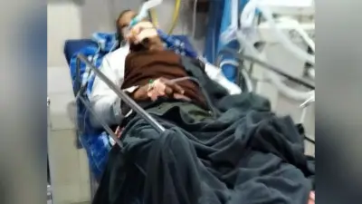 पेड़ से टकराने से बाइक सवार युवक की मौत, दो की हालत गंभीर
