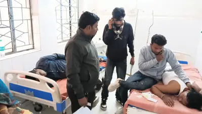 बारसोई में मधुमक्खी का प्रकोप, दो दर्जन से अधिक लोगों घायल