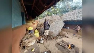 East Singhbhum news : हाथी ने तीन घरों को तोड़ा, एफसीआइ गोदाम में अनाज खाया