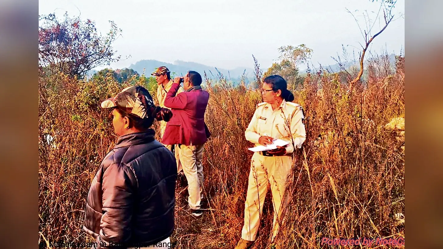 Rourkela News: ओडिशा के 52 वन प्रभाग में पक्षियों की गणना शुरू, विदेशी मेहमानों की संख्या बढ़ने की उम्मीद से वन विभाग उत्साहित