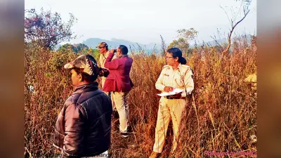 Rourkela News: ओडिशा के 52 वन प्रभाग में पक्षियों की गणना शुरू, विदेशी मेहमानों की संख्या बढ़ने की उम्मीद से वन विभाग उत्साहित