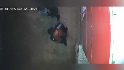 Madhubani News : मंदिर का ताला तोड़कर दानपेटी सहित आभूषण चोरी