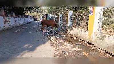 Gaya News : कोर्ट परिसर के बाहर जमा रहता है कचरा, फैल रही दुर्गंध