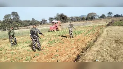 पुलिस ने 31 एकड़ में अफीम खेती की नष्ट की