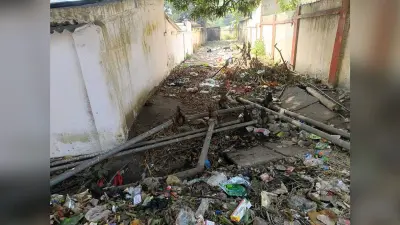 कॉलोनियों में नहीं हो रही सफाई